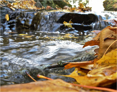 轰炸手机号在线使用